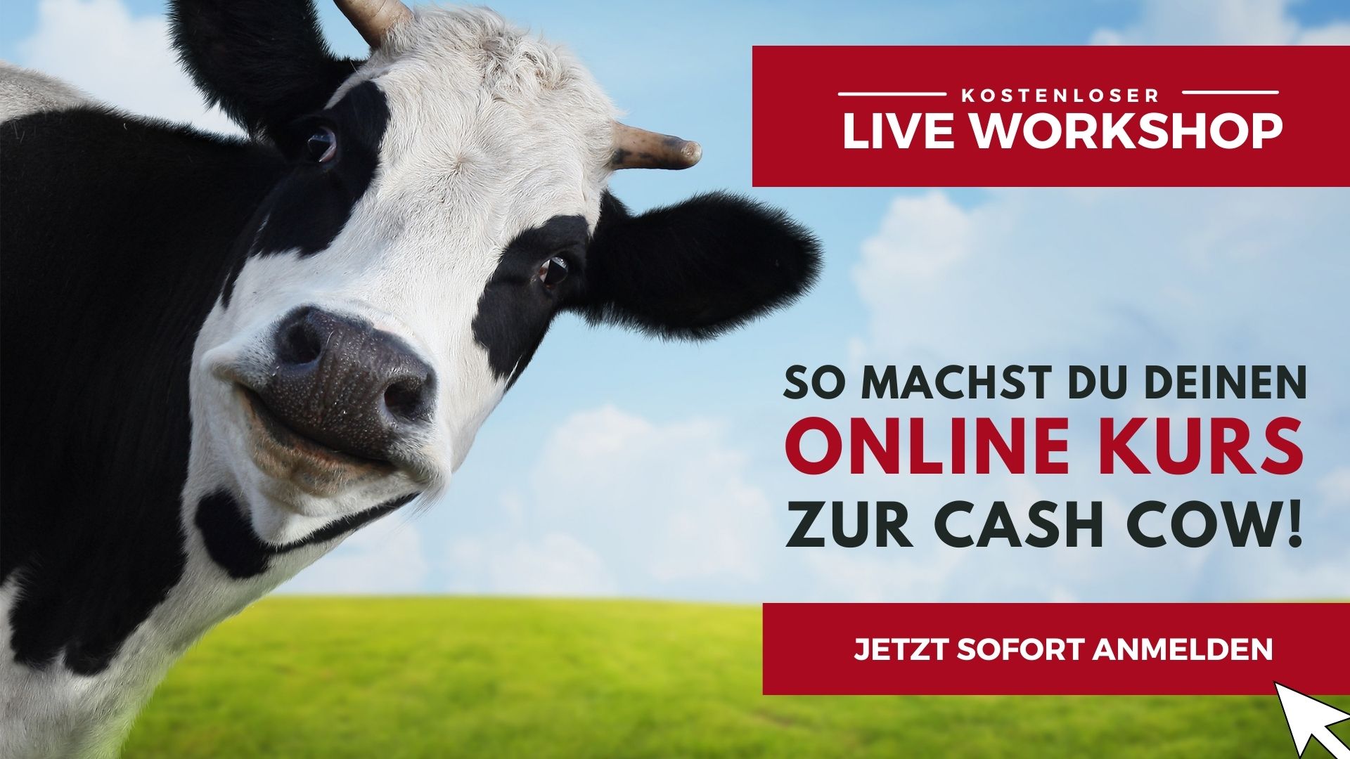 Cash Cow - Live Workshop von Meike Hohenwarter